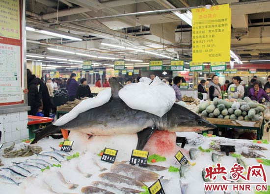 鄭州市一家超市海鮮區(qū)的冰架上赫然擺著一整條鯊魚在出售，鯊魚肉價(jià)格為23.80元每斤，遠(yuǎn)低于牛羊肉的價(jià)