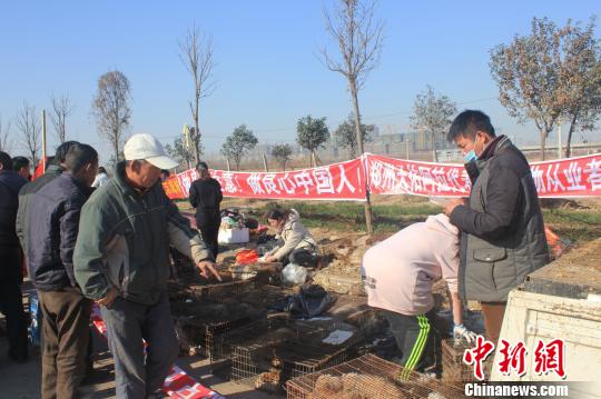 圖為百余名愛狗人士把老李的貨車攔截，數(shù)十人正在從貨車上卸下裝滿狗的鐵籠。　馬義恒　攝
