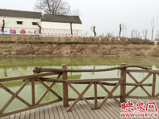 護(hù)欄損毀的地方，已經(jīng)被兩根樹(shù)干擋住。
