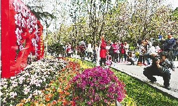 市民紛紛將鏡頭對(duì)準(zhǔn)花叢。