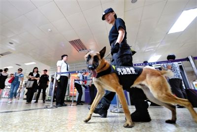 地鐵王府井站搜汽油警犬在安檢口巡邏。新京報記者 王貴彬 攝