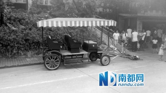 園方則稱解剖后發(fā)現(xiàn)馬死于心臟衰竭，“與累無關(guān)”。