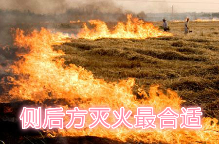 不要在風(fēng)頭上打火：風(fēng)正大，火正旺，最容易傷人；