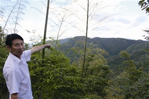 村民吳學(xué)田告訴記者，對(duì)面兩座山就是潘建友承包的部分山場(chǎng) 見習(xí)記者 邱一文 攝