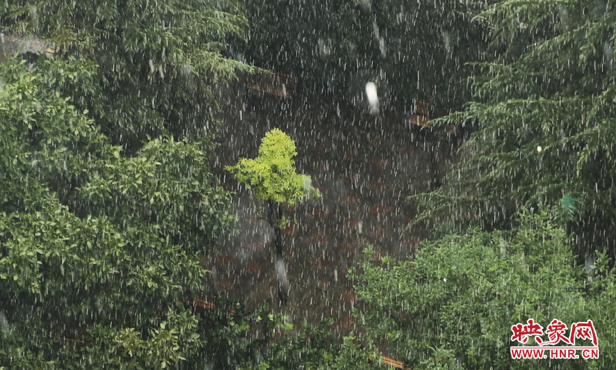 17時(shí)32分,鄭州強(qiáng)降雨,紫荊山附近的市民真切地感受到了什么叫大雨傾盆。