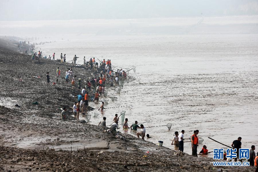 7月6日,在山西省平陸縣黃河岸邊,人們?cè)诤舆叢稉泣S河“流魚”。