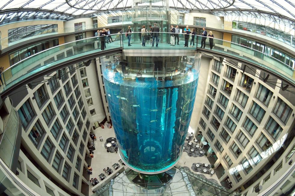 在圓柱水族館主體下方，還有一些別的展館。