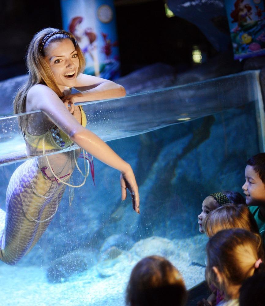 德國女演員安妮·門登在水族館里客串了一把“美人魚”，順便為她的電影《小美人魚》做宣傳。