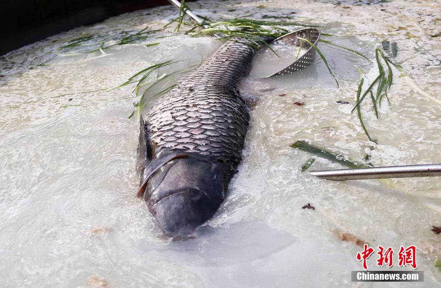 “魚王”在3米大鍋內(nèi)烹飪。 圖片來源：CFP視覺中國