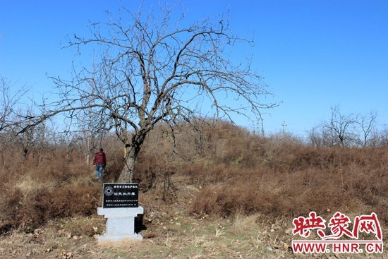 在叔齊墓的前面，豎著新鄭市人民政府今年剛立的石碑，上面寫(xiě)著“新鄭市文物保護(hù)單位”。