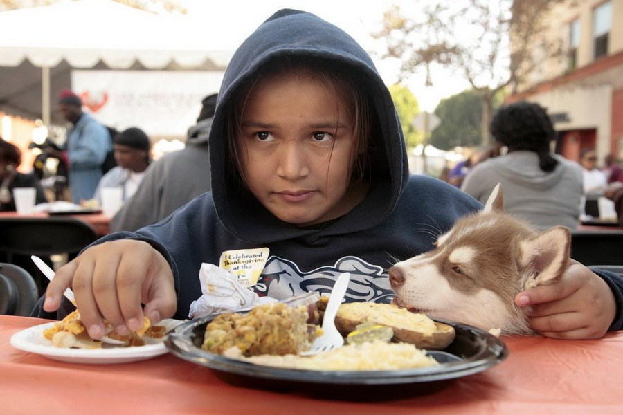 11月21日，加州洛杉磯的游民巷，12歲的堂娜·赫南德茲抱著愛犬“湯米”，安靜地吃著免費(fèi)的感恩節(jié)飯菜