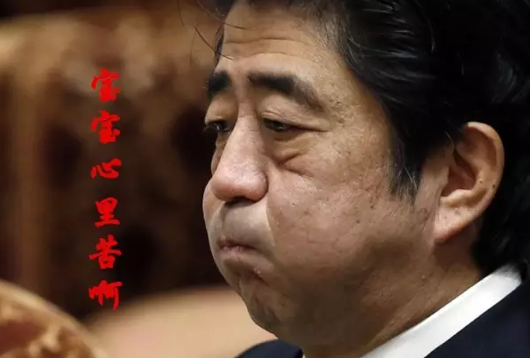 這種看安倍“熱鬧”的事兒，環(huán)環(huán)絕不私藏，一定雨露均沾!