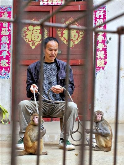 10月13日，耍猴人鮑慶山牽著從牡丹江帶回的兩只小猴在家門口玩耍。
