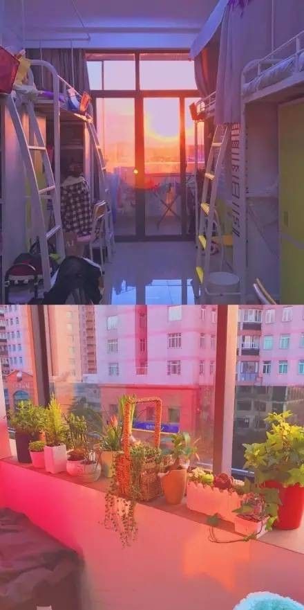這個(gè)學(xué)校的男生宿舍火了！女同學(xué)都喊著要嫁