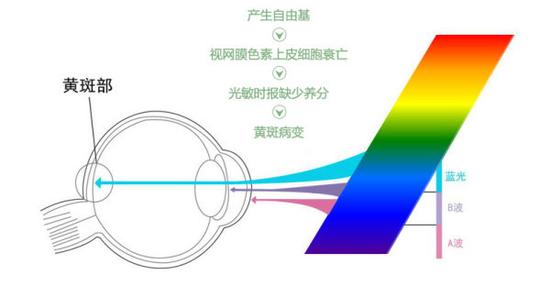 真能亮瞎眼？如何減少手機(jī)對(duì)眼睛的傷害