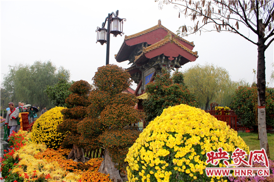 天好、花美 中國(guó)開封第32屆菊花文化節(jié)延長(zhǎng)一周