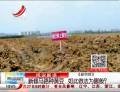 新修馬路種黃豆  如此做法為哪般？