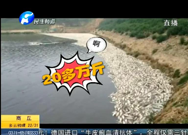 20萬斤魚翻肚因缺氧？