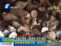 西峽香菇領跑河南“農(nóng)字號”產(chǎn)品出口