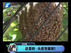 這看的 頭皮發(fā)麻呀！-打漁曬網