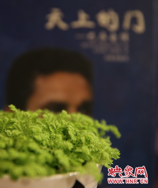 書架上精心布置的綠色植物。